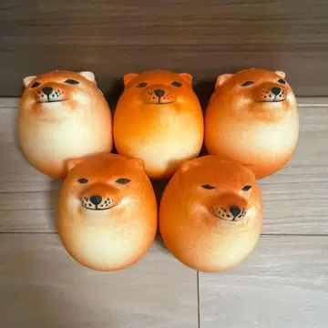 시바코 시바코 시바견 스퀴즈 5개 세트