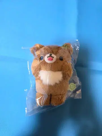 갈색 곰돌이의 쿠마큥 Days 매달리는 봉제 인형