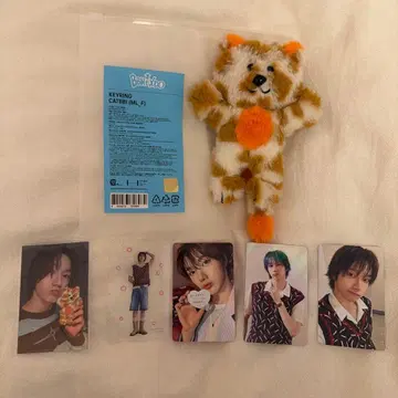 BOYNEXTDOOR 푸네크도 CATBBI 성호 키 참