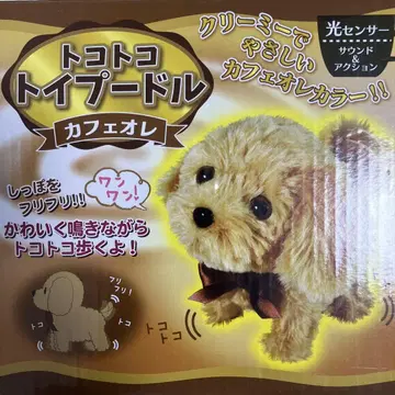 토코토코 토이 푸들 카페오레