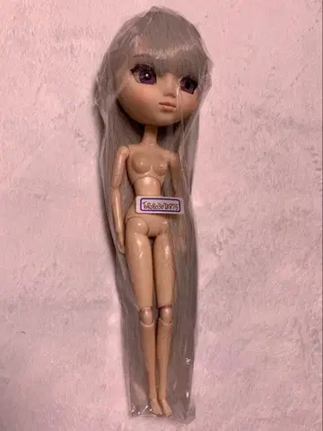 풀립 (로젠 메이든 수은등) 본체만 875