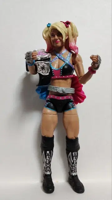 마텔사 WWE 프로레슬링 피규어 디바 알렉사 블리스