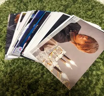 테고시 유야 40장 정도