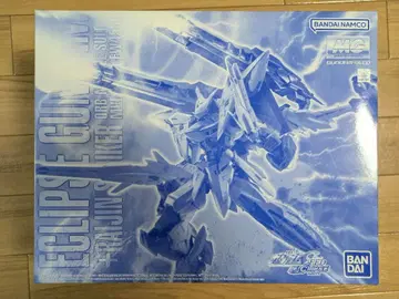 Eclipse Gundam + Raijin Striker MG 1/100