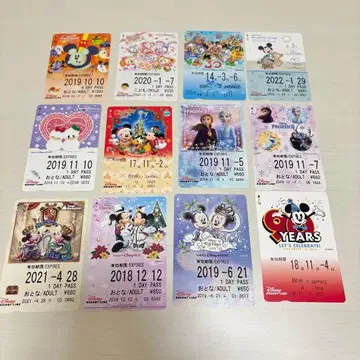 리조트 라인 프리 티켓 12장 세트 사용 완료