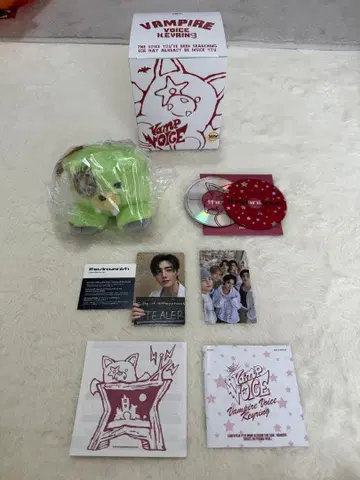 ENHYPEN THE SIN:VANISH 보이스 키링 트레이딩 카드 성훈