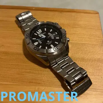 시티즌 프로마스터