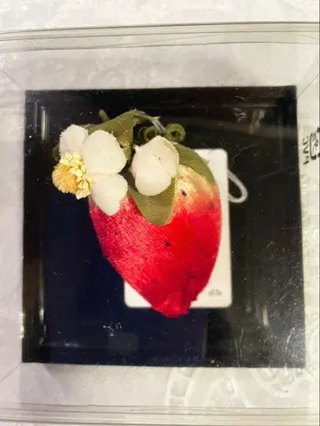 핑크하우스 PINK HOUSE 코사지 딸기