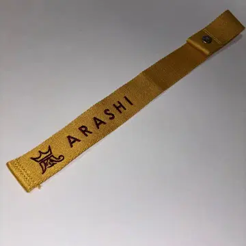 아라시 아라시를 여행하는 전시회 beams 러기지 마크 니노미야 카즈나리