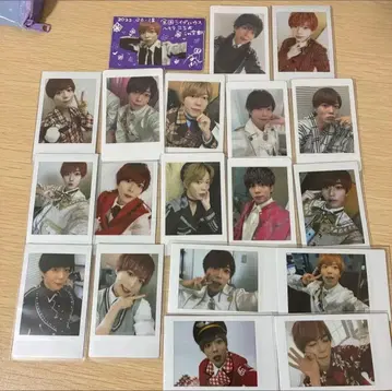 팬더 드래곤 패치 하피카 폴라로이드