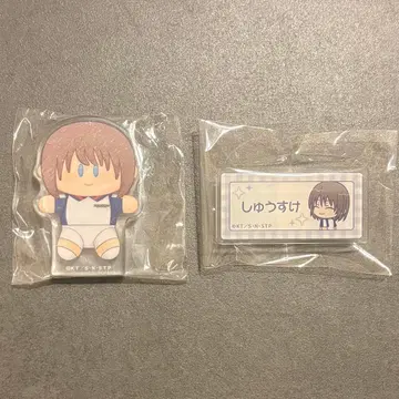 신 테니스의 왕자님 세이가쿠 후지 슈스케 코롯토 이름 배지