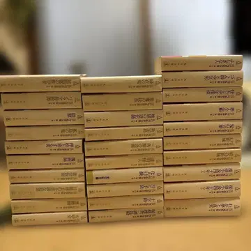 코분샤 문고판 에도가와 란포 전집 전 30권