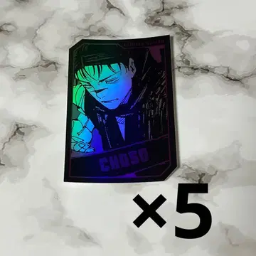 주술회전 홀로 카드 컬렉션 쵸소우