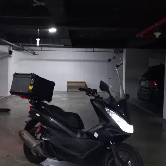 pcx125 아크라포빅 정품