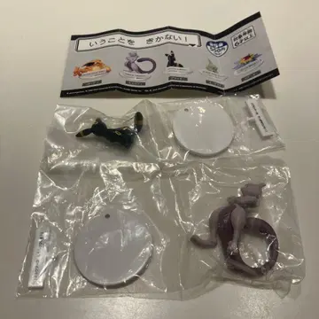 말을 듣지 않는 포켓몬 뮤츠 블래키 세트