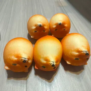 시바코 시바견 스퀴즈 5개 세트