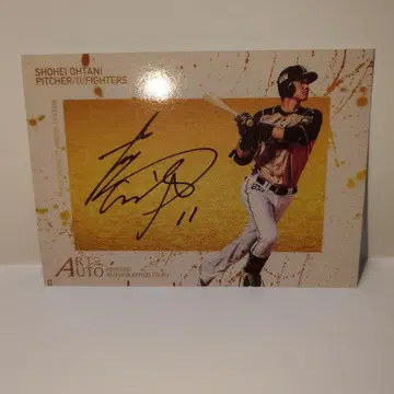 오타니 쇼헤이 니치햄