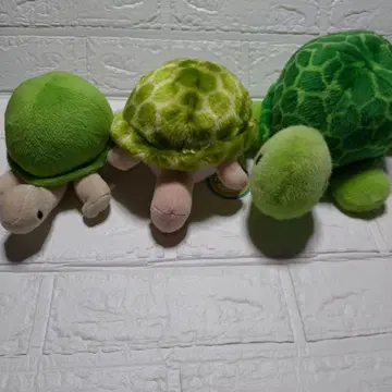 컬러풀 거북이 봉제 인형 3개 세트 (개별 구매 가능)