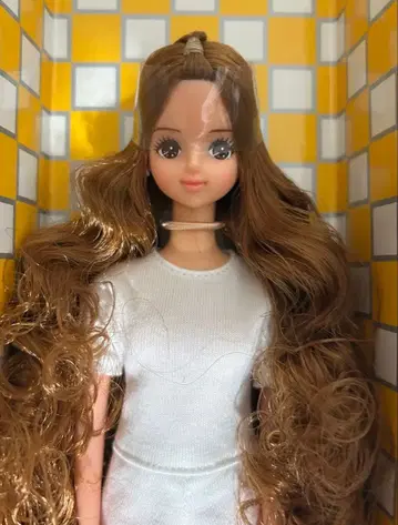 리카짱 캐슬 제니 프렌드 미라이 일광화상 피부