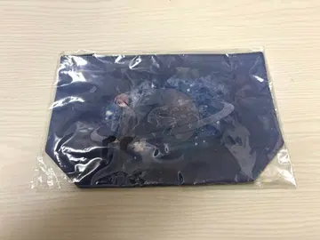 우타이테 Sou 혹성 파우치