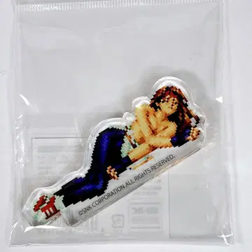 SNK KOF KO 유리 사카자키 아크릴 블록