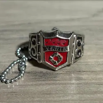 가정교사 히트맨 REBORN VARIA 바리아 반지 봉고레 반지 1