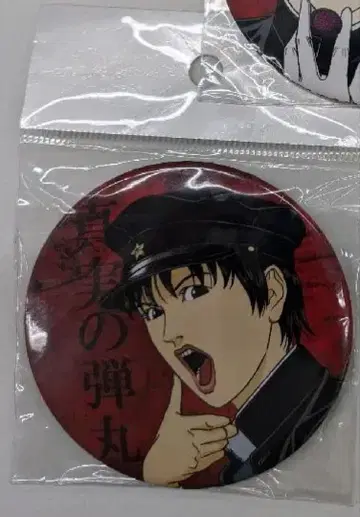 라이치 히카리 클럽 라이치 클럽 타미야 캔뱃지