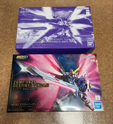 HG 스트라이크 프리덤 건담 이식, MGSD 데스티니 건담