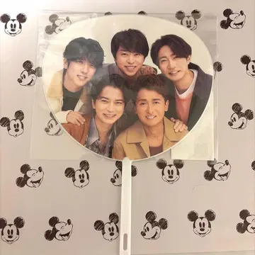 아라시 미니 부채