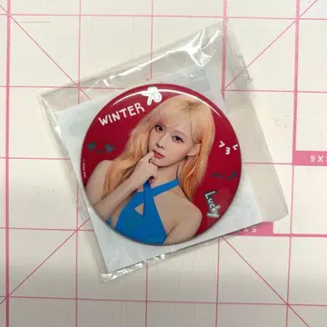 aespa 윈터 랜덤 토이 캔뱃지