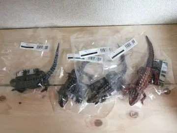 [전 4종] 생물대도감 아카메가부토 도마뱀 모토이카부토 도마뱀 가챠