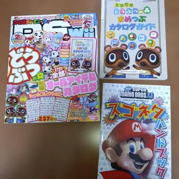 패미통 DS+Wii 2013년 2월호