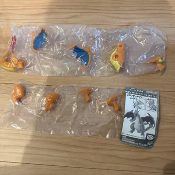 포켓몬스터 조립 가동! 메가리자몽Y