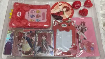 STPR 스토푸리 리이누 아크릴 스탠드 린라이 콜렉션 카드