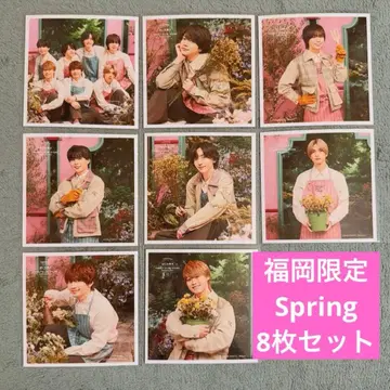 [ 후쿠오카 ] 나니와단시 정사각형 사진 Spring 8장 세트