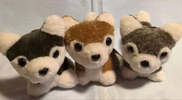 [ 무스탕 ] 강아지 봉제 인형 참 3종 세트