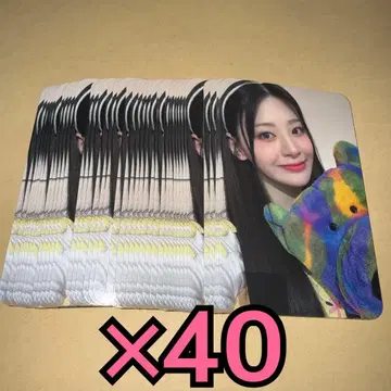 STAYC 트레이딩 카드 TEDDY BEAR 솔로반 봉입 세운 x 40