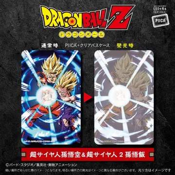 드래곤볼 Z PIICA 클리어 패스 케이스