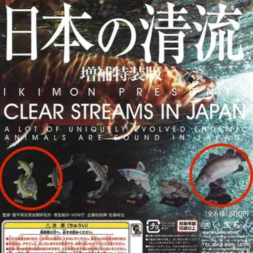 일본의 청류 증보 특장판 가챠가챠 아카메 아유 물고기 네이처 테크니컬러