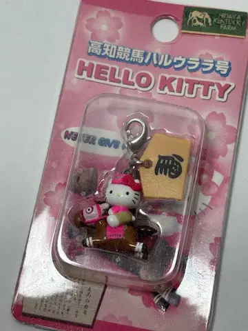 지역 한정 헬로키티 고치 한정판 고치 경마 하루우라라 호
