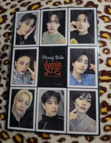 StrayKids 무비티켓 특전 비주얼 오리지널 스티커