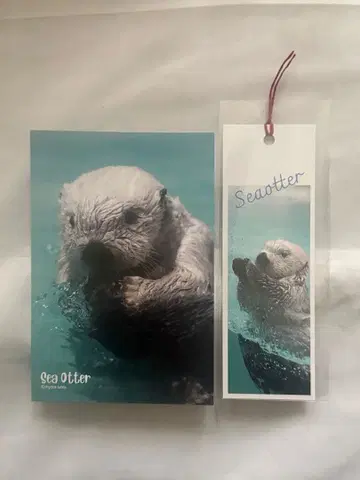 산세이도 이케부쿠로 한정판 랏코 엽서 메이 책갈피 키라