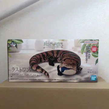 파충류 & 양서류 제일복권 아오지타 라스트 원상 피규어