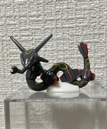 빗쿠라타마고 DX 포켓몬 블랙 레쿠자