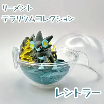 포켓몬 Pokemon | 리멘트 | 렌트라 | 테라리움 컬렉션