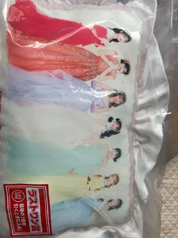 후르츠 지퍼 제일복권 라스트 원상 드레스 디자인 쿠션