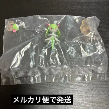 포켓몬 스케일 월드 라르토스 킬리아