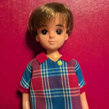 리카짱의 보이프렌드 이사무군