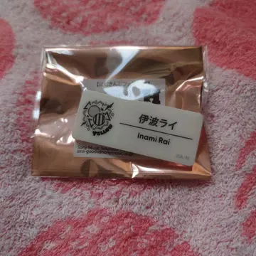 니지페스 2025 네임 배지 이나미 라이