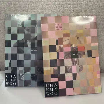 차은우 ENTITY 일반 버전 2장 세트
